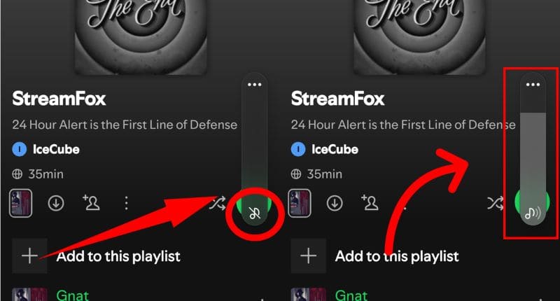 بررسی های اولیه برای رفع مشکل پلی نشدن آهنگ در اسپاتیفای